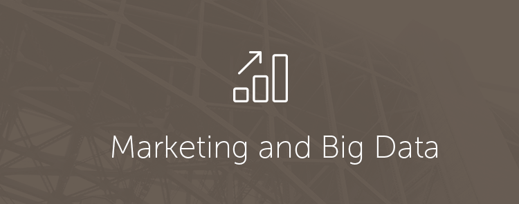 Marketing and Big Data